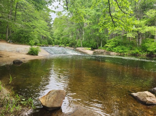 A serene forest scene featuring a calm pool of water with a small waterfall and lush green trees surrounding it.