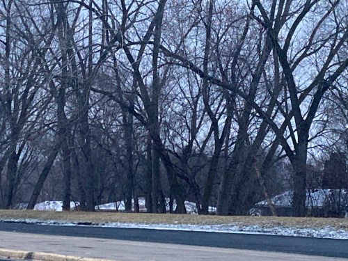 Bare trees line a snowy roadside, with a gray sky overhead and a hint of distant landscape in the background.