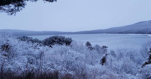 A serene winter landscape featuring a snowy shoreline and a calm lake surrounded by snow-covered trees.
