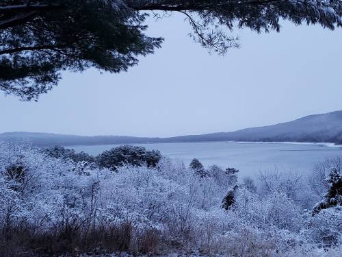 A serene winter landscape featuring a snowy lake surrounded by frosted trees and distant hills under a gray sky.