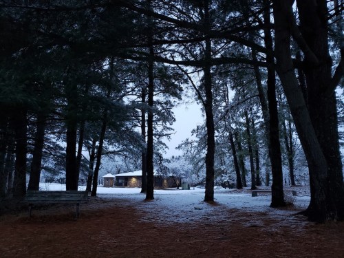 A snowy landscape with a cabin in the distance, surrounded by tall trees and a serene, wintry atmosphere.