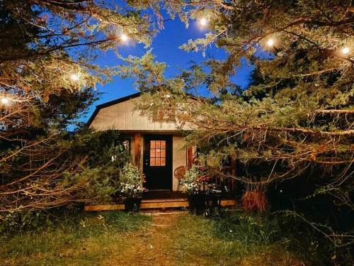 A cozy cabin surrounded by trees, illuminated by string lights at dusk, creating a warm and inviting atmosphere.
