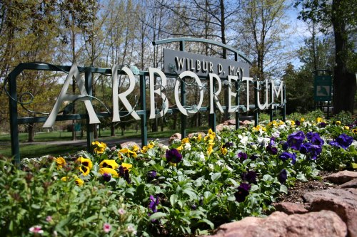 Sign for Wilbur D. May Arboretum surrounded by colorful flowers and greenery on a sunny day.