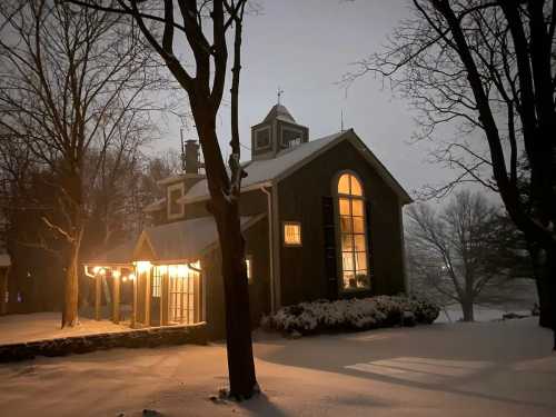 A cozy house illuminated by warm light, surrounded by snow-covered trees on a snowy night.