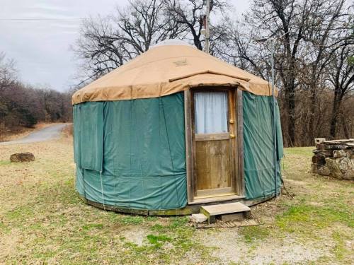 A round yurt with a tan roof and green walls, set in a grassy area surrounded by trees.