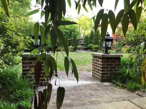 A serene garden view framed by green leaves, featuring stone pillars and lanterns leading to a grassy area.