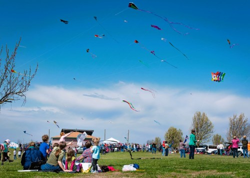 A vibrant sky filled with colorful kites, with families enjoying a kite festival on a sunny day in a grassy field.