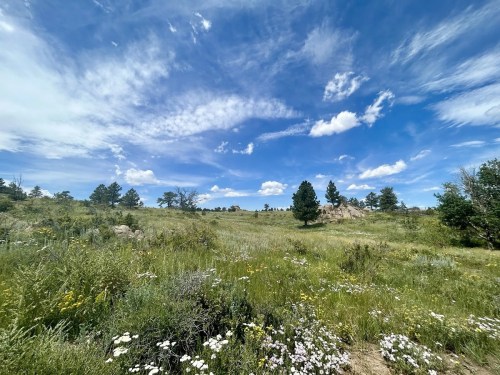 A scenic landscape featuring a grassy field, wildflowers, and a blue sky with fluffy clouds.