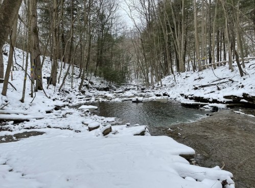 A serene winter scene of a creek surrounded by snow-covered trees and rocky banks.