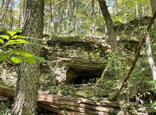 A rocky cave entrance surrounded by trees and greenery in a forested area.
