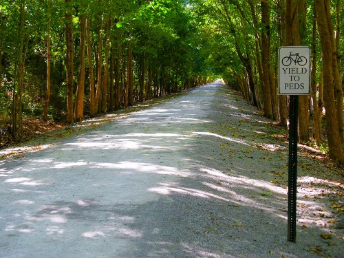 A gravel path lined with trees, featuring a sign that says "Yield to Peds" for pedestrian safety.