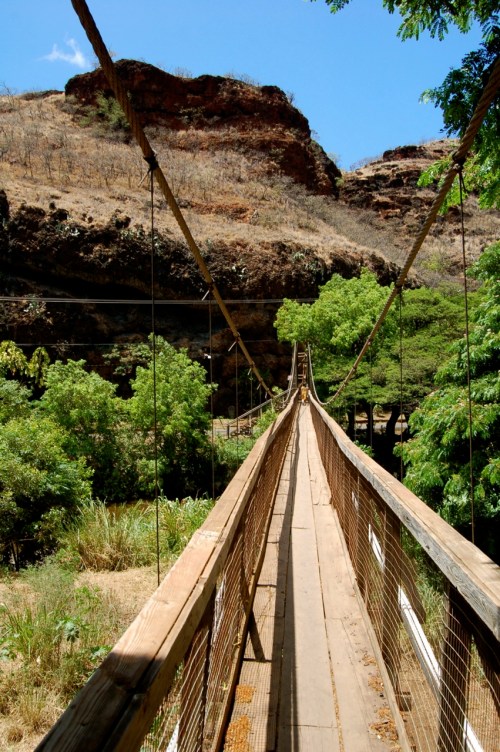 A wooden suspension bridge stretches over a lush green landscape, flanked by rocky hills under a clear blue sky.