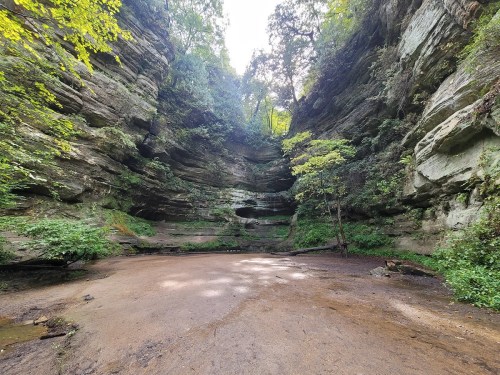 A serene canyon with lush greenery, rocky walls, and a sandy floor, illuminated by soft sunlight filtering through trees.