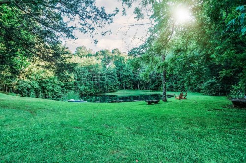 A serene pond surrounded by lush greenery, with two chairs set up on the grassy shore under a bright sun.