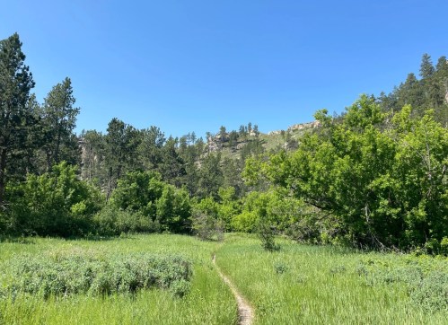 A winding dirt path through lush green grass and trees, leading towards a rocky hillside under a clear blue sky.