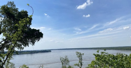 A serene river view with lush greenery and a clear blue sky dotted with clouds.