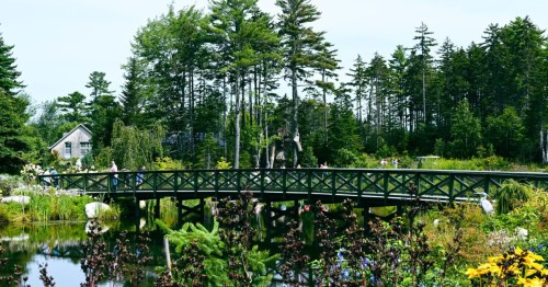 A wooden bridge spans a tranquil pond surrounded by lush greenery and colorful flowers under a clear blue sky.