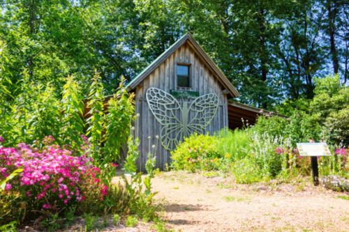 A wooden building with a butterfly design, surrounded by colorful flowers and greenery in a sunny garden setting.