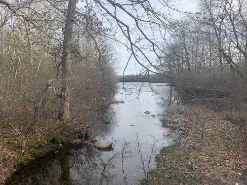 A serene river scene surrounded by bare trees and shrubs, reflecting the sky and landscape in calm waters.