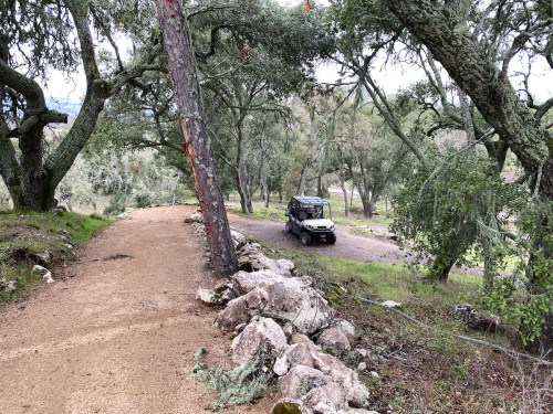 A rugged off-road vehicle parked on a dirt path surrounded by trees and rocky terrain.