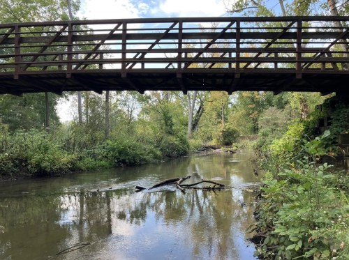A wooden bridge spans a calm river surrounded by lush greenery and fallen branches in the water.