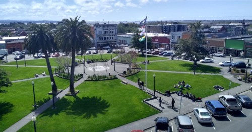 A sunny park with palm trees, people relaxing on the grass, and cars parked nearby in a vibrant town square.