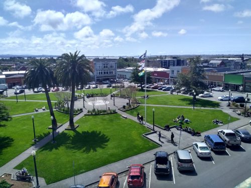 A sunny park with palm trees, green grass, and people relaxing, surrounded by buildings and parked cars.