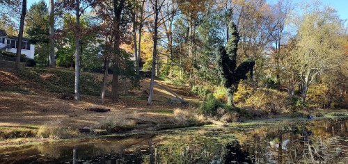 A serene pond surrounded by trees with autumn foliage and a hillside in the background.