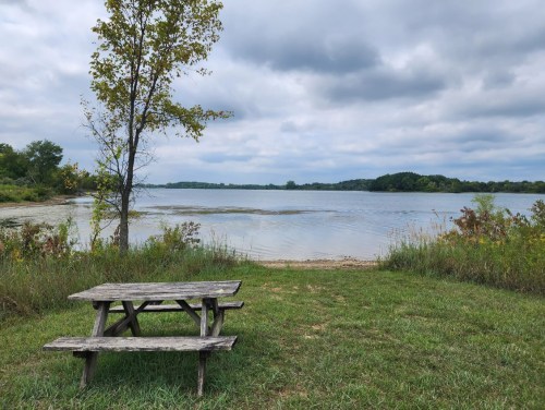 A wooden picnic table by a calm lake, surrounded by grass and trees under a cloudy sky.