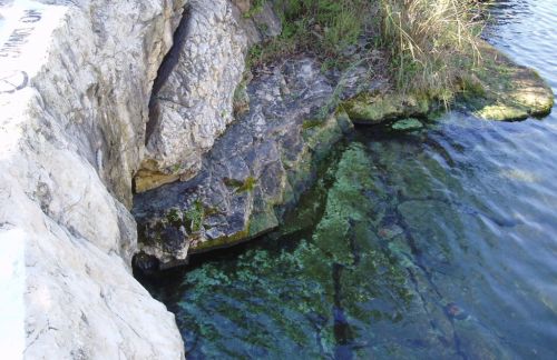 Rocky shoreline with clear water and patches of green vegetation along the edge.