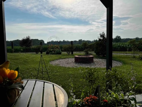 A peaceful outdoor scene with a grassy area, a fire pit, and lush greenery under a cloudy sky.