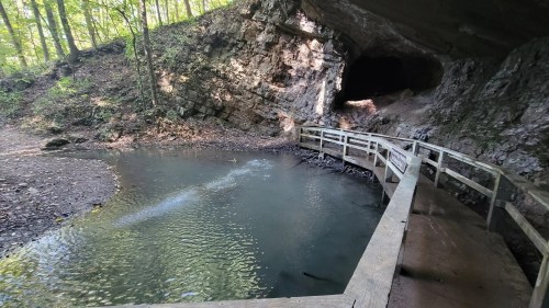 A wooden bridge over a calm pond leads to a cave entrance surrounded by rocky terrain and lush greenery.