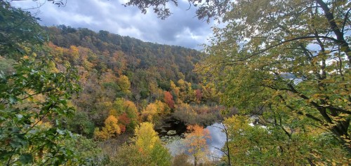 A scenic view of a forested hillside with vibrant autumn foliage and a calm river reflecting the colors below.