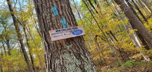 Sign on a tree indicating the New England Trail, Mattatuck section, with a route length of 6.4 miles. Surrounding autumn foliage.
