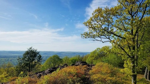 A scenic view of rolling hills and trees under a blue sky with scattered clouds, showcasing vibrant greenery.