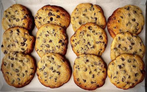 A tray of freshly baked chocolate chip cookies arranged in two rows, golden brown with chocolate chips visible.