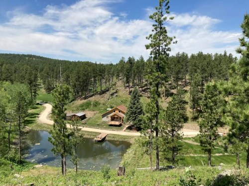 A scenic view of a cabin by a pond, surrounded by tall pine trees and rolling hills under a blue sky.