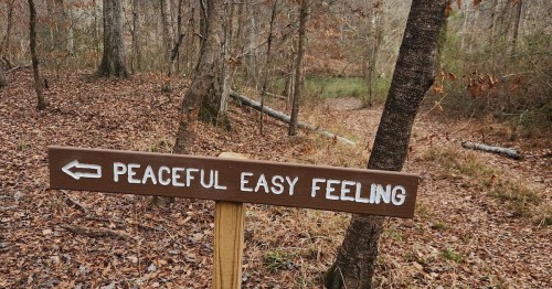 A wooden sign points left, reading "Peaceful Easy Feeling," surrounded by a forest with fallen leaves.