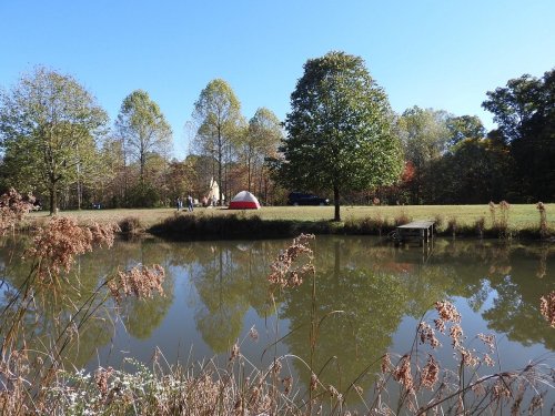 A serene pond reflects trees and a red tent in a grassy area, with a clear blue sky above.