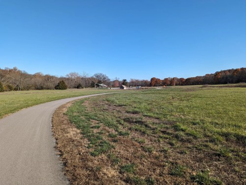 A winding path through a grassy field with trees and a clear blue sky in the background.
