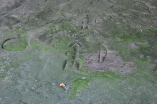Footprints and a circular mark on a mossy, textured surface, suggesting recent activity in a natural setting.