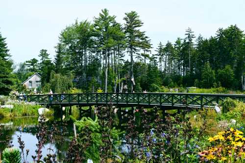 A wooden bridge spans a tranquil pond surrounded by lush greenery and colorful flowers, with people walking nearby.