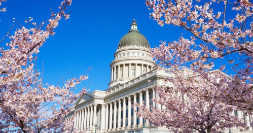 Cherry blossoms frame a grand building with a dome against a clear blue sky.