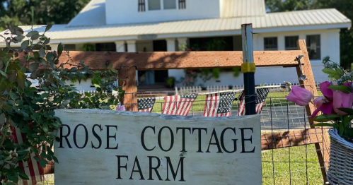 A sign for Rose Cottage Farm in front of a white house with a porch, surrounded by greenery and American flags.