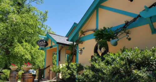 A colorful building with turquoise accents, surrounded by greenery and flower pots, under a clear blue sky.