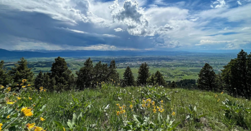 A scenic view of a valley with green fields and mountains under a cloudy sky, framed by wildflowers in the foreground.