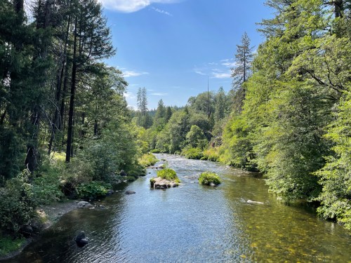 A serene river flows through a lush green forest under a clear blue sky.