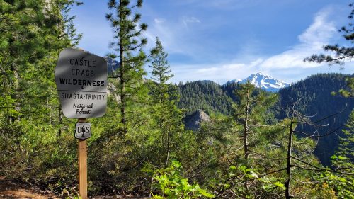 Sign marking Castle Crags Wilderness in Shasta-Trinity National Forest, with mountains and trees in the background.