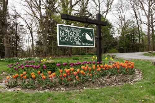 Sign for West Virginia Botanic Garden at Tids Run Preserve, surrounded by colorful tulips and greenery.