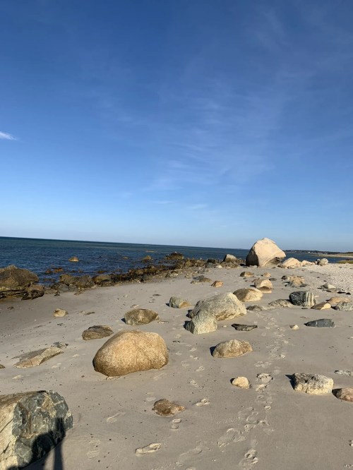 A sandy beach with scattered rocks and a calm blue sea under a clear sky.
